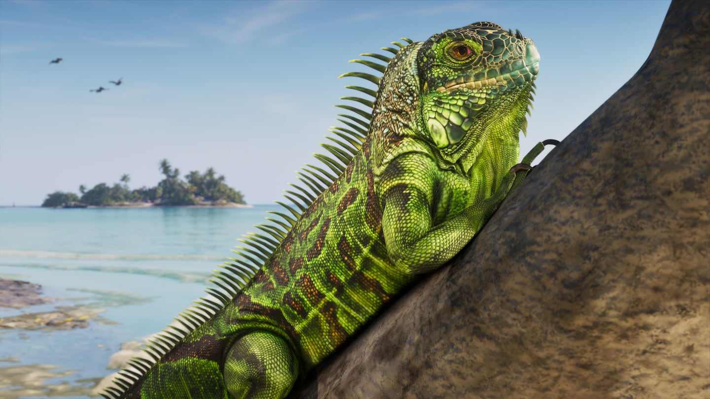 Official GTA VI screenshot of a green iguana in the Leonida Keys